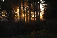 Sunset At Ordiorne - Sony A200 Dslr Photography - By Lois Lepisto, Natureweather Photography Artist