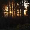 Sunset At Ordiorne - Sony A200 Dslr Photography - By Lois Lepisto, Natureweather Photography Artist