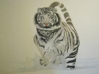 Tiger - Pencil Drawings - By Rick Fuller, Wildlife Drawing Artist