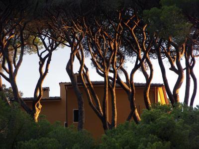 Italy - Elba Island Sunset - Cannon Xti