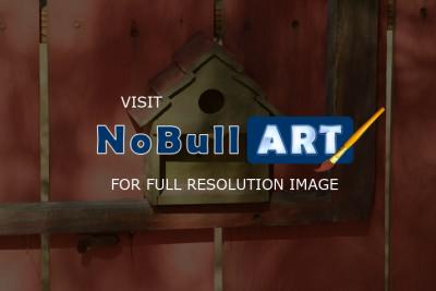 Newberry Springs - Bird House - Cannon Xti