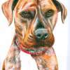 Dexter - Acrylic Paintings - By Malc Lane, Fine Art Painting Artist