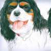 Barrys Dog - Acrylic Paintings - By Malc Lane, Fine Art Painting Artist