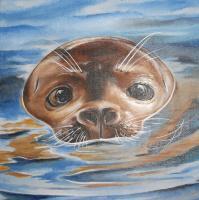 Seal Pup - Acrylic Paintings - By Malc Lane, Fine Art Painting Artist