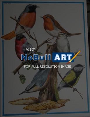 Birds - A Collection Of British Birds - Acrylic