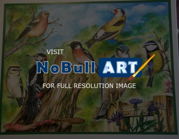 Birds - Bird Compilation - Acrylic