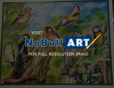 Birds - Bird Compilation - Acrylic
