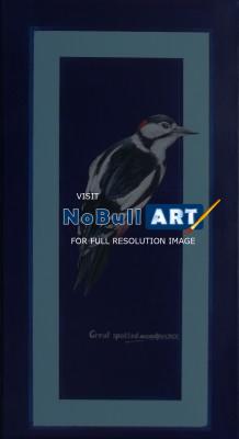 Birds - Great Spotted Woodpecker - Acrylic