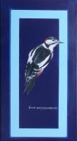 Birds - Great Spotted Woodpecker - Acrylic