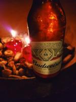 Bud - Digital Photography - By Chad Vidas, Photography Photography Artist