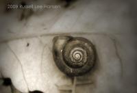 The Little Things - Digital Camera Photography - By Russell Lee Hansen, Still Life Photography Artist