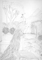 Peacock Lanscape - Pencil Drawings - By Jason C Hansen, Realism Drawing Artist
