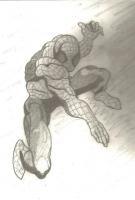 Spiderman - Pencil Drawings - By Paul Sullivan, Traditional Drawing Artist
