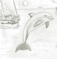 Animals - Boat At Dolphin Beach - Pencil