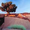 Dead Horse Point - Photography Mixed Media - By Dean Uhlinger, Photorealism Mixed Media Artist