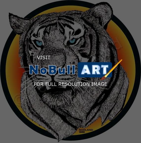 Illustrations - Tigernod - Pen  Ink