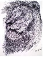Lion - Pen  Ink Drawings - By Kevin Nodland, Expressionismrealism Drawing Artist