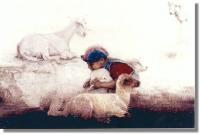 Love My Lambs - Watercolor Paintings - By I Joseph, Realism Painting Artist