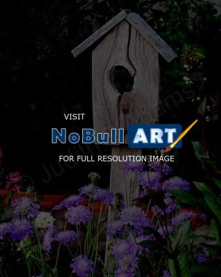 Landscape - Birdhouse And Flowers - Digital