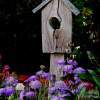 Birdhouse And Flowers - Digital Photography - By Judith B Adams, Nature Photography Artist