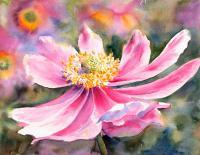 Pink Anemone - Watercolor Paintings - By Ruth Harris, Realism Painting Artist