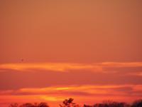 Orange Sky - Digital Photography - By Heather Back, Nature Photography Artist