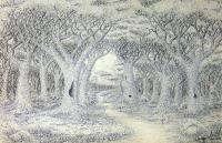 Forest Path - Black Fine Tip Pen On Paper Drawings - By Ron Kendall, Nature Drawing Artist