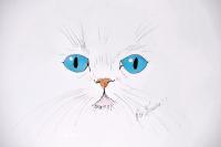 Blue Eyes II - Watercolors  Color Pens Drawings - By Ron Kendall, Expressionism Drawing Artist