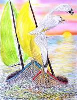 A Lot Of Gull - Watercolors  Color Pens Paintings - By Ron Kendall, Nature Painting Artist