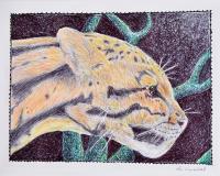 Leopard In The Night - Color Pens Pencils Drawings - By Ron Kendall, Nature Drawing Artist