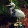Life Size Great Blue Heron Wildlife Art Sculpture - Cast Epoxy Sculptures - By Chris Dixon, Realistic Sculpture Artist