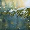 Winter Magic - Watercolor Paintings - By Marisa Gabetta, Realism Painting Artist
