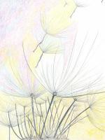 Spring Fling 18X24 - Pencil Crayons Drawings - By Xaanja Free, Fantasy Drawing Artist