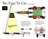 The Tiger Tri Cat - Adobe Illustrator Cs6 Digital - By Kenneth Ruxton, Abstract Digital Drawing Digital Artist