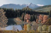 Switzerland Spring - Oil On Canvas Paintings - By Harry Walton, Realistic Impressionism Painting Artist