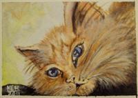 Bored Kitty - Acrylicwatercolor Paintings - By Kristy Edwards-Rusie, Aceo Painting Artist