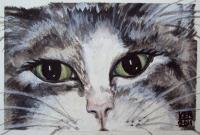 Close Kitty - Acrylicwatercolor Paintings - By Kristy Edwards-Rusie, Aceo Painting Artist