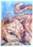 Waking Kitty - Acrylicwatercolor Paintings - By Kristy Edwards-Rusie, Aceo Painting Artist