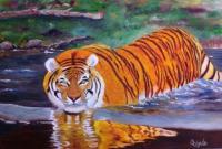 Tiger - Oils On Canvas Paintings - By Ayyub Shaik, Realism Painting Artist