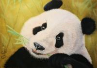 Panda - Pastel Paintings - By Irene Suprun, Realism Painting Artist