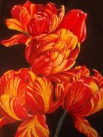 Red Tulips - Watercolor Paintings - By Doina Cociuba, Realism Painting Artist