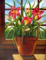 Still Life - Daylilies In The Window - Oils On Canvas
