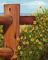 Black-Eyed Susans Beached - Oils On Canvas Paintings - By Susan Dehlinger, Traditional Painting Artist