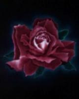 Fantasy - The Glowing Rose - Oil-On-Canvas