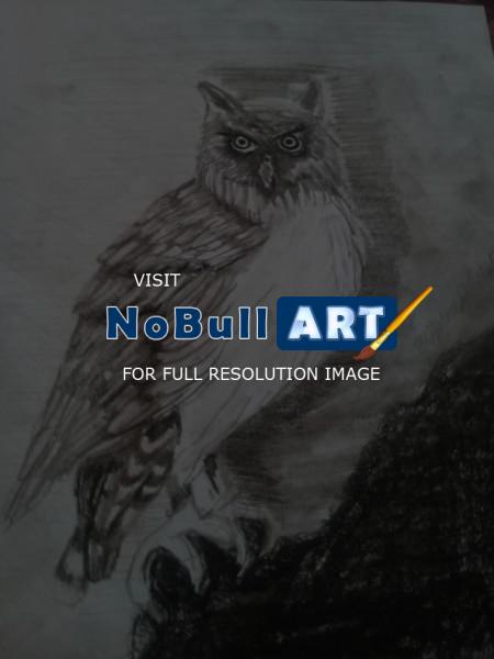 Drawing - Owl Be Seeing You - Pencil
