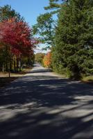 Autumn Road 2 - Photography Photography - By Jeff Ford, Digital Photography Photography Artist