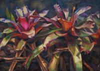 Bromeliad Blush - Oil On Canvas Paintings - By Claudia Thomas, Closed Landscape Painting Artist