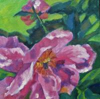 Pink Peonies - Oil On Canvas Paintings - By Claudia Thomas, Botanical Painting Artist