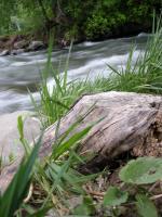 Riverside - Digital Photography - By Jessica Peay, Nature Photography Photography Artist