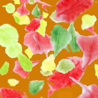 Colorful Leaves - Diginal Digital - By Paw Htoo, Photography Digital Artist